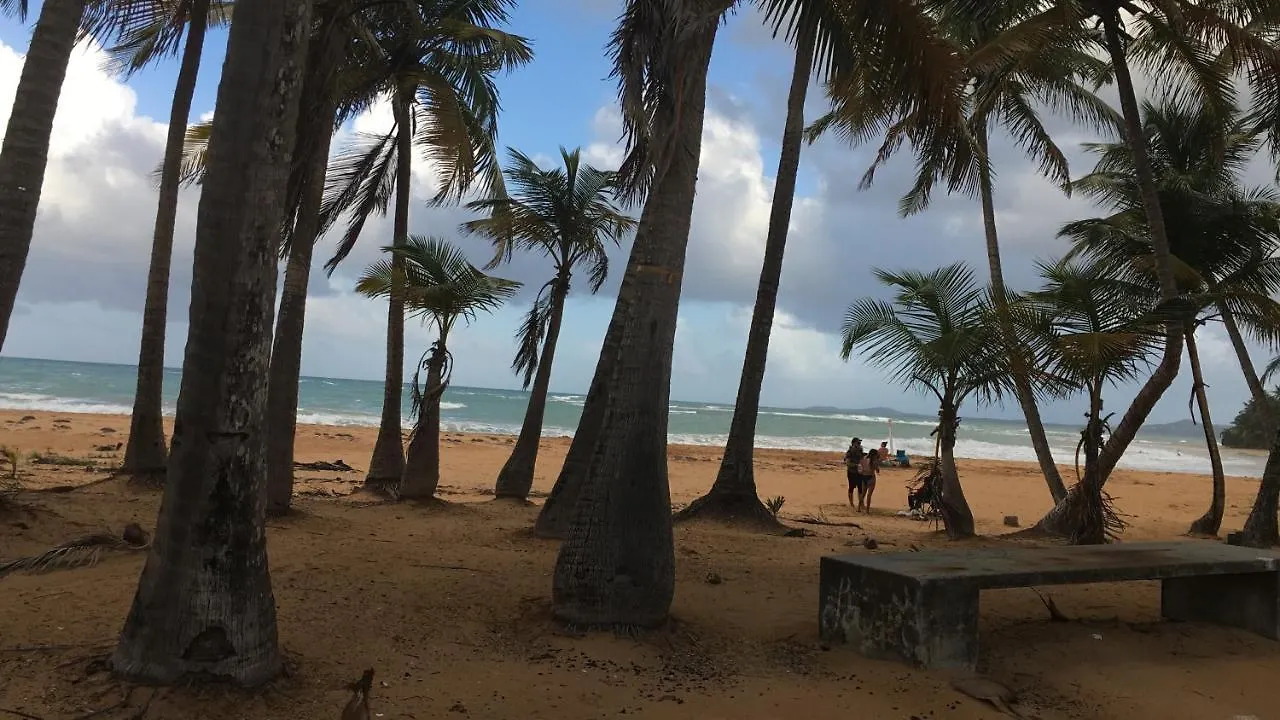 Cond Twin Seas Lejlighed Luquillo
